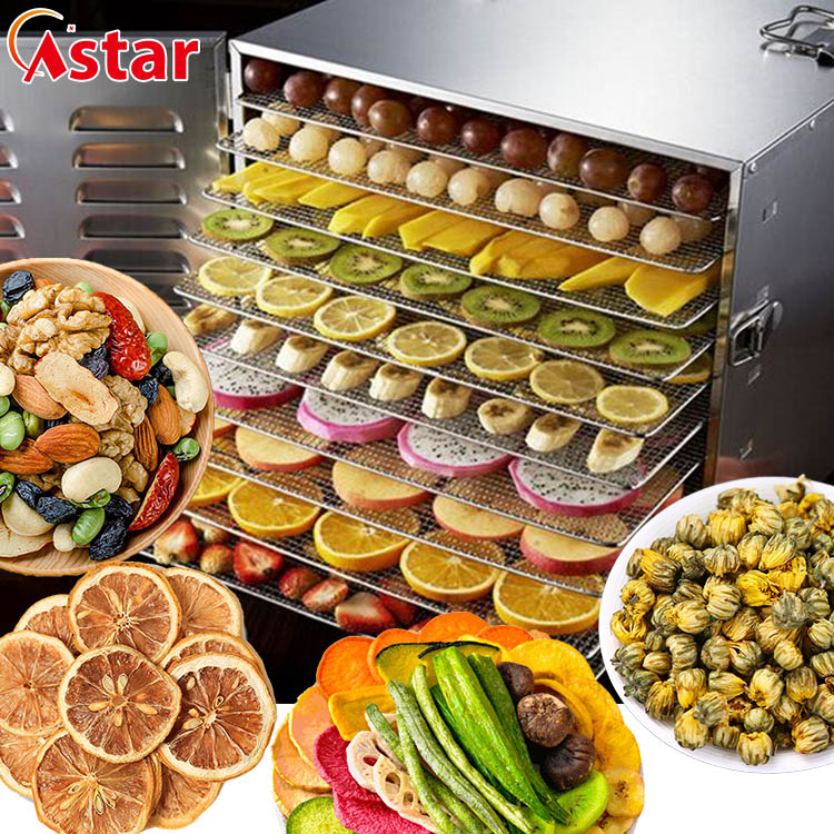 Dehydrator Tray Electric - Máquina Desidratadora Comercial Pequena de 8