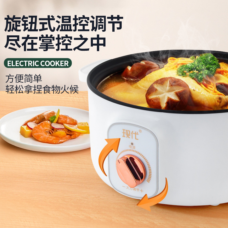 Mini panela elétrica multifunc - Kitchen Appliances Cooking avaliação e preço