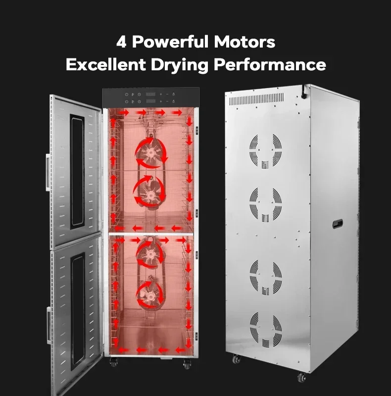 Secador de grãos de aço inoxid - Dehydrator Tray Electric avaliação e preço