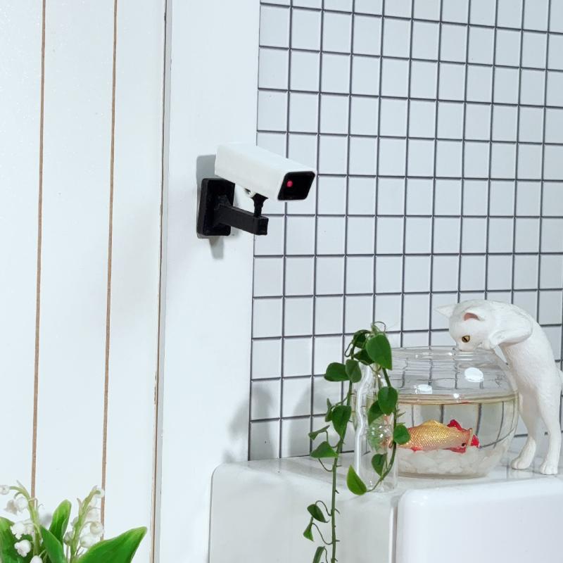 Nova Promoção: 1 Peça de Câmer - Kitchen Appliances Video avaliação e preço