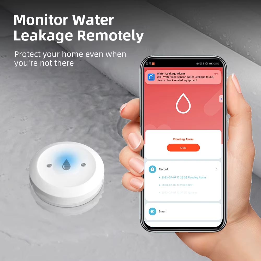Sensor Inteligente de Vazament - Kitchen Appliances Video avaliação e preço